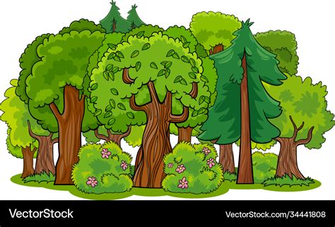 Mixed Forest With Trees Cartoon Royalty Free Vector Image