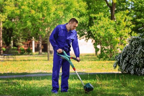 Clean Cut How To Choose The Right Lawn Care Service For Your Needs
