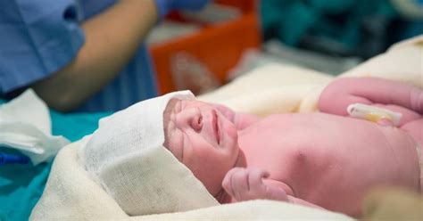 Full Term Vs Premature Infant Development Livestrongcom
