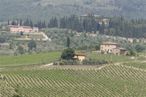 What Is An Agriturismo And Why They Can Make For A Wonderful Vacation