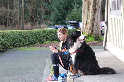 Rungo Dash For Dogs Raised 6700 For Bc And Alberta Guide Dogs Bc And