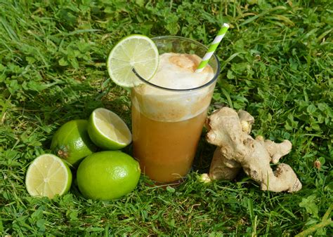 Quick Sweet Ginger Beer Recipe Sugar Free Nest And Glow