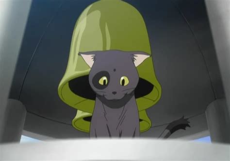 15 Best Anime Cats In 2024 Ranked Beebom