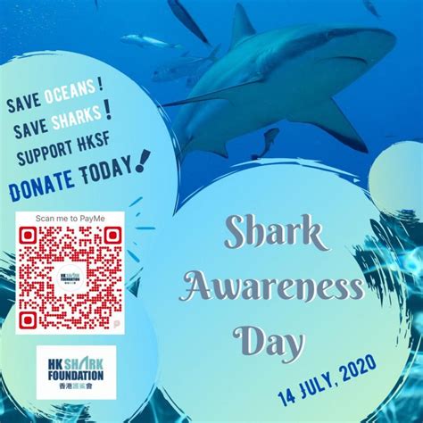Shark Awareness Day Support Hksf Hong Kong Shark Foundation