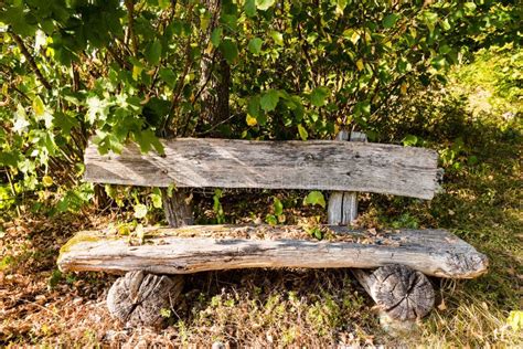 Old Wooden Bench In Forest Stock Image Image Of Aged 78582247