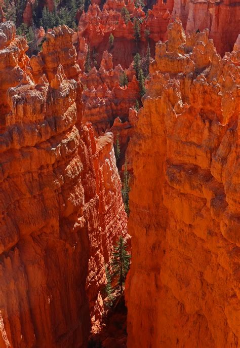 Bryce Canyon Np 10 18 63 G J Reitz Flickr