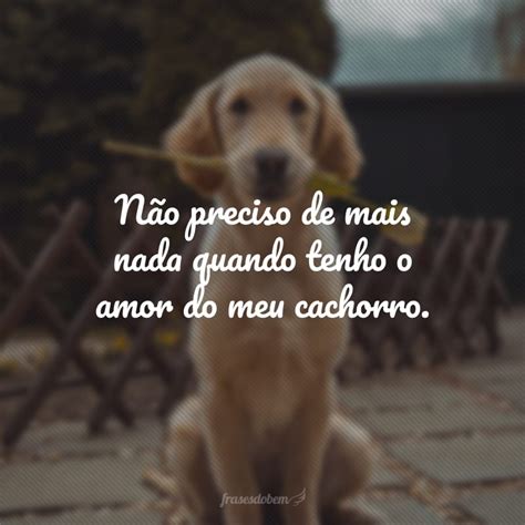 Frases Para Foto Com Cachorro Porque Deixam A Vida Mais Feliz