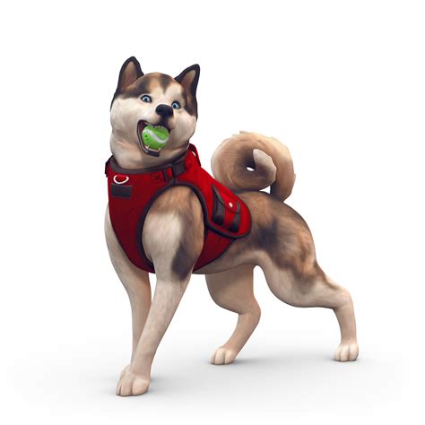 The Sims 4 Cats And Dogs New Screens And Renders