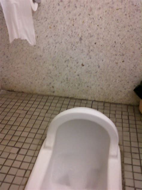 An Insiders Look At Japan The Squat Toilet AnimeSecrets Org