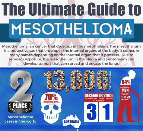 The Ultimate Guide To Mesothelioma Infographic