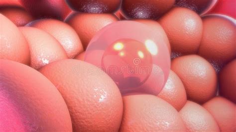 Cell Nucleus And Organelles Under The Electron Microscope Stock Photo