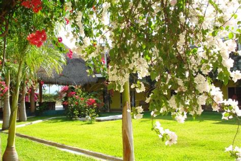 Hotel Bahía Paraiso San Blas Nayarit Opiniones Y Comentarios
