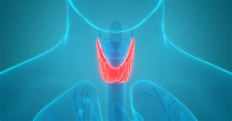 The 8 Most Common Thyroid Diseases Causes Symptoms And Treatment