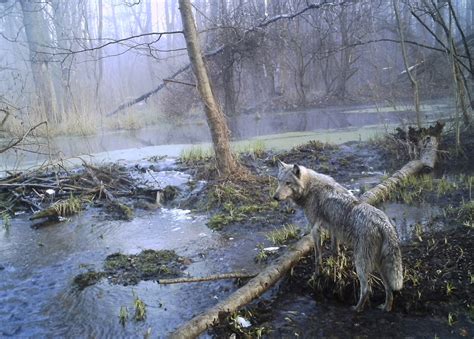 Still Cleaning Up 30 Years After The Chernobyl Disaster The Atlantic