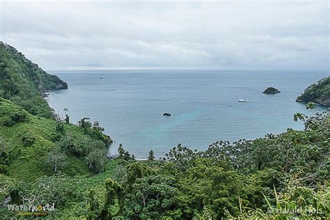 Cocos Island National Park Costa Rica See 47 Reviews Articles And