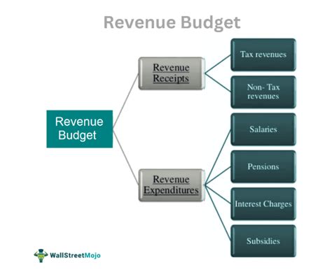 Revenue Budget What Is It Examples Vs Capital Budget