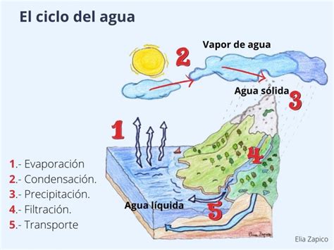 El Ciclo Del Agua Pictoeduca