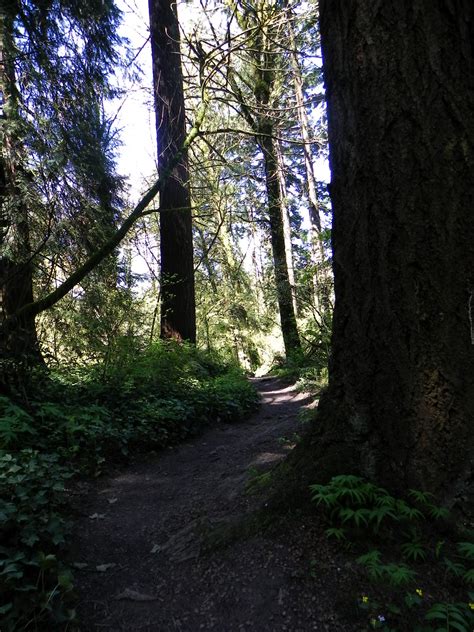 Northwestern Exposure City To Trail Hike Portland Oregon