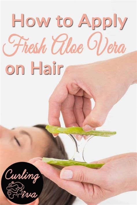 Can We Apply Aloe Vera Directly On Hair We Absolutely Can And Just