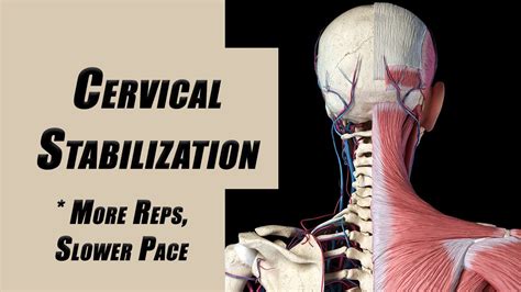 Cervical Spine Stabilization Exercises More Repetitions Slower Pace