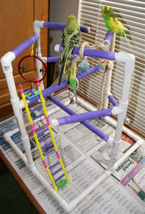 Check spelling or type a new query. Budgie Parakeet and Parrot Playgyms, Stands and Perches