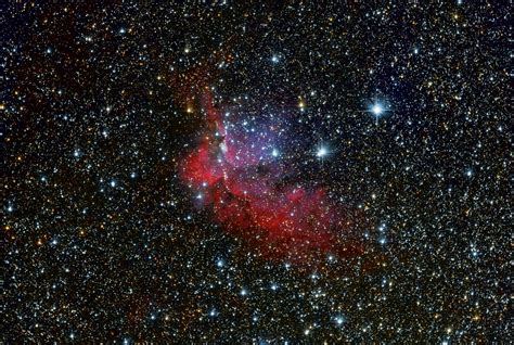 Wizard Nebula Ngc 7380 Astrophotography By Galacticsights