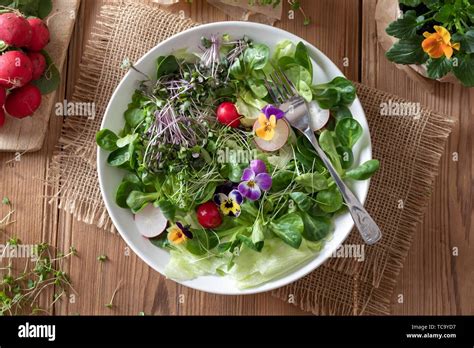 Blick von oben auf ein Frühjahr Salat mit essbaren Blüten