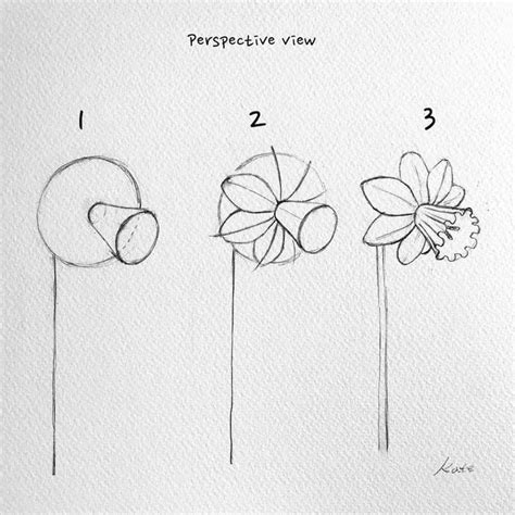 Four Different Types Of Flowers Drawn On Paper With The Words Drawing