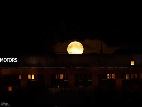 Efter den långa vintern är det dags att luta huvudet bakåt och yla mot den rosa fullmånen den 8:e april, 2020 i vågens tecken. Supermåne - Fotosidan