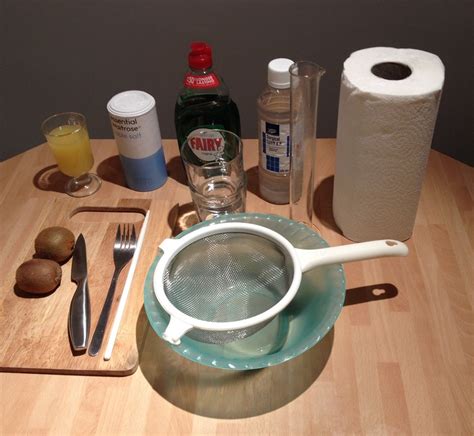 Check spelling or type a new query. Outreach activity - Extracting DNA from kiwi fruit - the Node