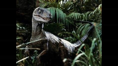 Jurassic Park Velociraptor Sound Effects Youtube