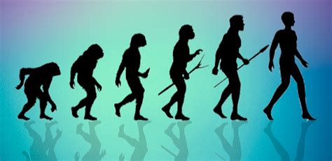 Research News Evolutionary Changes In Brain Potentially Make Us More
