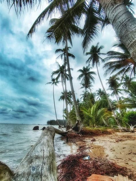 Pantai Serumpun Balikpapan Stock Image Image Of Tropics 238920133