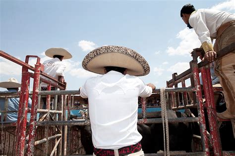 Mexican Cowboys Mexico By Stocksy Contributor Hugh Sitton Stocksy