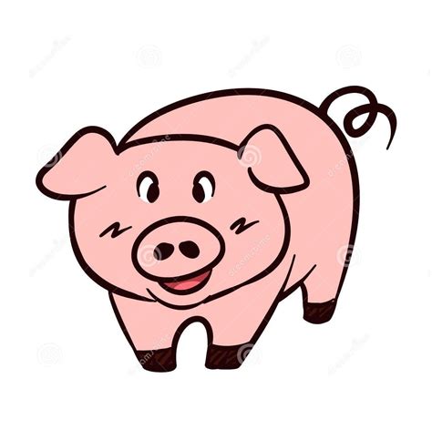 Dreamstime Com Pig Cochon