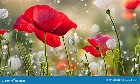 A Close Up Of A Poppy Field With Raindrops Stock Illustration