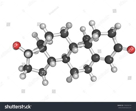 Chemical Structure Testosterone Male Sex Hormone Stock Illustration 159229274 Shutterstock