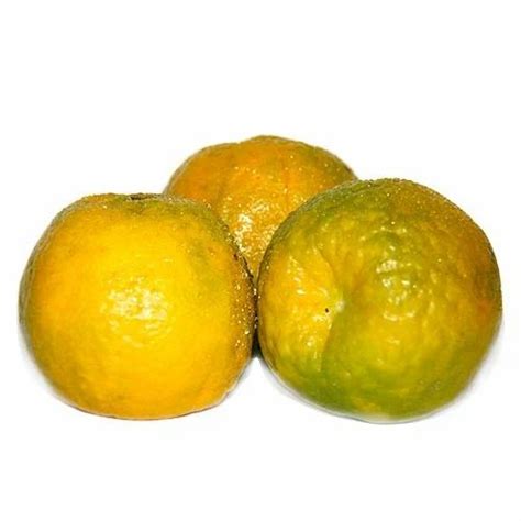 Nagpur Fresh Orange At Rs 18kilogram Oranges In Sangaria Id