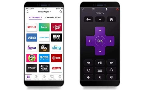 Roku Remote Control App