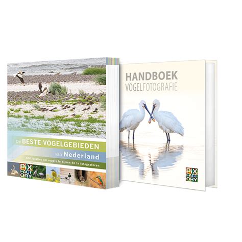 Combideal De Beste Vogelgebieden Van Nederland Handboek Vogelfotografie Webshop