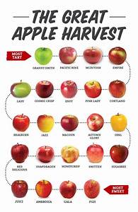 Apple Varieties And Uses Chart