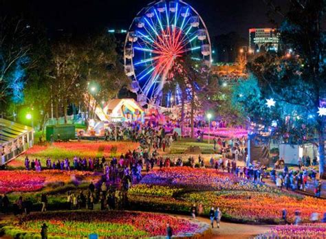 A View Of Floriade Flower Festival And Nightfest Canberra Australia