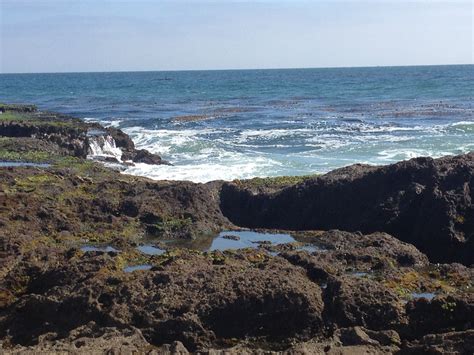 Tidepools At Royal Palms In San Pedro Ca Tidepools Socal Beach