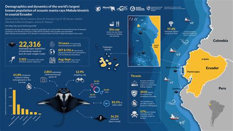 Worlds Largest Oceanic Manta Ray Population — Manta Trust