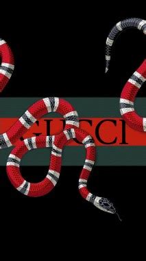 We hope you enjoy our growing collection of hd images to use as a background or home screen for your please contact us if you want to publish a gucci x supreme wallpaper on our site. Supreme Gucci Wallpaper 4K - Beautiful Gucci Snake Wallpaper Gucci Wallpaper Iphone 750x1334 ...