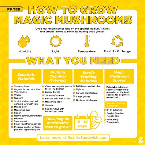 How To Grow Magic Mushrooms Step By Step