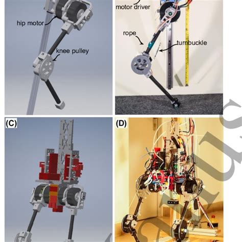 Guro Robotic Leg Mechanical Design A The Single Leg Robot Cad Model