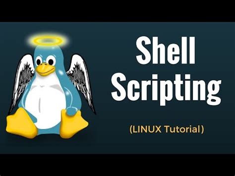 Shell Script W3schools - XpCourse