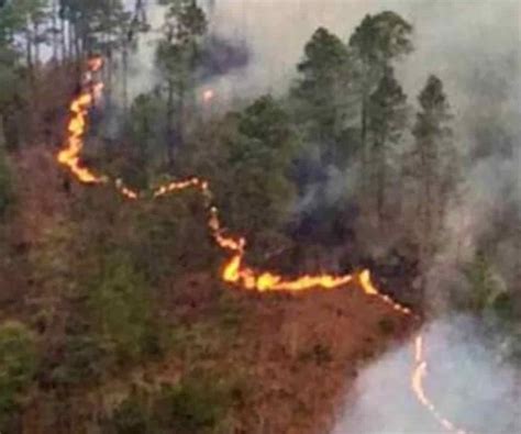 Consulta todas las noticias de incendios. Incendios forestales