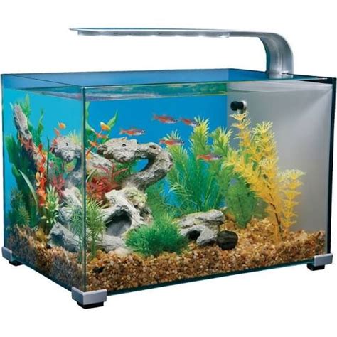 Top Fin 5 Gallon Glass Aquarium Size 5 Gal Aquarium Betta Fish Tank